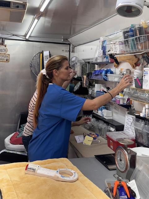 Kellie Lightbourn at work in a mobile veterinary clinic